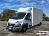 Fiat DUCATO DUCATO | Leggero Furgone > 35 q.li Altro | Borgo Agnello S.p.A.