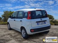 Fiat panda used - 48,145 km - Novara - 2016 - van | Borgo Agnello S.p.A. - Foto 9