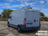 Fiat DUCATO DUCATO | Leggero Furgone > 35 q.li Altro | Borgo Agnello S.p.A.