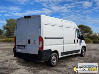 Fiat DUCATO DUCATO | Leggero Furgone > 35 q.li Altro | Borgo Agnello S.p.A.