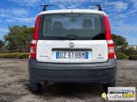 Fiat PANDA PANDA | Automobile Altro | Borgo Agnello S.p.A.