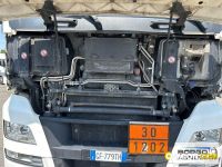 Man TGX 18.480 TGX 18.480 | Trattore Trattore | Borgo Agnello S.p.A.