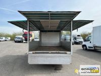 Iveco DAILY 60C15 DAILY 60C15 | Motrice Cassone fisso | Borgo Agnello S.p.A.