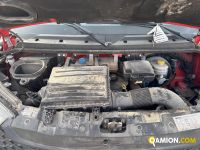 Iveco DAILY 35C13 DAILY 35C13 | PROCIDAMACCHINE S.R.L.