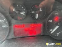 Iveco DAILY 35C12 DAILY 35C12 | PROCIDAMACCHINE S.R.L.