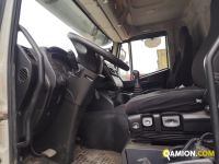 Iveco STRALIS AT260S31Y/PS STRALIS AT260S31Y/PS | PROCIDAMACCHINE S.R.L.