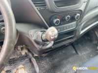 Iveco DAILY 35C12 DAILY 35C12 | PROCIDAMACCHINE S.R.L.