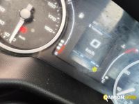 Iveco DAILY 35C14 DAILY 35C14 | PROCIDAMACCHINE S.R.L.