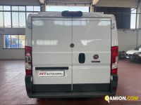 Fiat DUCATO - FURGONE DUCATO - FURGONE | MT AUTOCARRI SRL