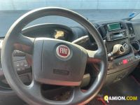 Fiat DUCATO DUCATO | MT AUTOCARRI SRL