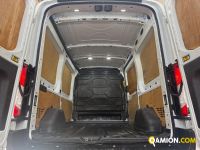 Ford TRANSIT 350 2.0TDCi TRANSIT 350 2.0TDCi | MT AUTOCARRI SRL