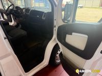 Fiat DUCATO - FURGONE DUCATO - FURGONE | MT AUTOCARRI SRL
