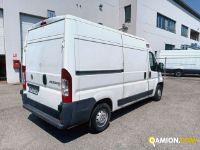 Fiat ducato van occasion - 523 478 km - Reggio-Emilia | EVICARRI S.P.A. - Foto 3