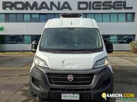 Fiat DUCATO ISOTERMICO | Leggero Cabinato <= 35 q.li Isotermico / coibentato | ROMANA DIESEL SPA