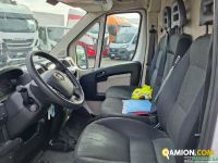 Fiat DUCATO ISOTERMICO | Leggero Cabinato <= 35 q.li Isotermico / coibentato | ROMANA DIESEL SPA