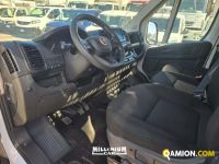 Fiat DUCATO DUCATO | Millenium Car