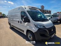 Fiat DUCATO ducato | Millenium Car