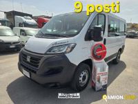 Fiat ducato used - 132,000 km - Napoli - 2021 - van | Millenium Car - Foto 1