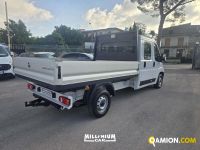 Fiat DUCATO DUCATO | Millenium Car