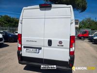 Fiat DUCATO ducato | Millenium Car