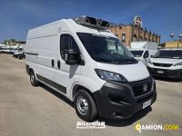 Fiat DUCATO DUCATO | Millenium Car