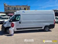 Fiat DUCATO ducato | Millenium Car
