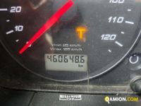 Iveco Stralis AD260S42Y/FS-D Stralis AD260S42Y/FS-D | Millenium Car