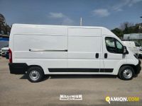 Fiat DUCATO DUCATO | Millenium Car