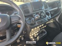 Fiat DUCATO DUCATO | Millenium Car