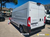 Fiat DUCATO ducato | Millenium Car