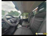 Iveco Daily V 35.16 2019 IVECO DAILY 35C16 3.0 CC CASSONE FISSO Altro | AUTO INDUSTRIALE BERGAMASCA SPA