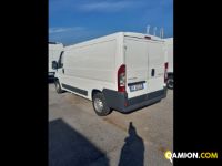 Citroen BERLINGO 1.9 D 4p. 800 Entreprise Liv.B | Leggero Furgone <= 35 q.li Furgone di serie / Van | INDUSTRIAL CARS S.P.A