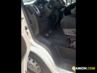 Fiat Mod. FIAT Vers. FIAT | Leggero Furgone <= 35 q.li Furgone di serie / Van | INDUSTRIAL CARS S.P.A