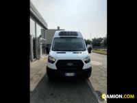 Ford Mod. FORD Vers. FORD | Leggero Cabinato <= 35 q.li Isotermico / coibentato | INDUSTRIAL CARS S.P.A