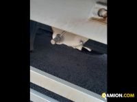 Iveco Mod. IVECO Vers. IVECO | Motrice Cassone fisso con centina | INDUSTRIAL CARS S.P.A