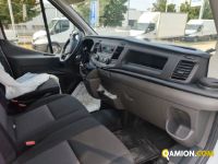 Ford Mod. FORD Vers. FORD | Leggero Cabinato <= 35 q.li Isotermico / coibentato | INDUSTRIAL CARS S.P.A