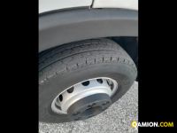 Iveco Mod. IVECO Vers. IVECO | Leggero Cabinato > 35 q.li Furgonato con sponda | INDUSTRIAL CARS S.P.A