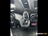 Iveco Mod. IVECO Vers. IVECO | Leggero Cabinato <= 35 q.li Furgonato con sponda | INDUSTRIAL CARS S.P.A