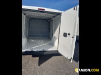 Citroen BERLINGO 1.9 D 4p. 800 Entreprise Liv.B | Leggero Furgone <= 35 q.li Furgone di serie / Van | INDUSTRIAL CARS S.P.A