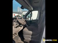 Citroen BERLINGO 1.9 D 4p. 800 Entreprise Liv.B | Leggero Furgone <= 35 q.li Furgone di serie / Van | INDUSTRIAL CARS S.P.A