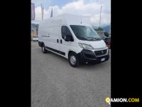 Fiat Ducato 35 2.3 MJT 150CV PLM-SL-TA Furgone Maxi | Leggero Furgone <= 35 q.li Furgone di serie / Van | INDUSTRIAL CARS S.P.A