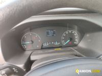 Ford Mod. FORD Vers. FORD | Leggero Cabinato <= 35 q.li Isotermico / coibentato | INDUSTRIAL CARS S.P.A