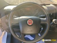 Fiat Mod. FIAT Vers. FIAT | Automobile Altro | INDUSTRIAL CARS S.P.A