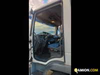 Iveco Mod. IVECO Vers. IVECO | Leggero Cabinato > 35 q.li Trasporto animali | INDUSTRIAL CARS S.P.A