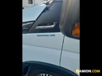 Iveco Mod. IVECO Vers. IVECO | Leggero Cabinato <= 35 q.li Cassone fisso con centina | INDUSTRIAL CARS S.P.A