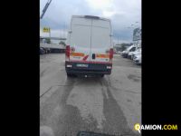 Iveco Mod. IVECO Vers. IVECO | Leggero Cabinato > 35 q.li Furgone di serie / Van | INDUSTRIAL CARS S.P.A