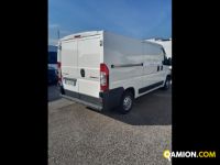 Citroen BERLINGO 1.9 D 4p. 800 Entreprise Liv.B | Leggero Furgone <= 35 q.li Furgone di serie / Van | INDUSTRIAL CARS S.P.A