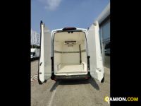 Ford Mod. FORD Vers. FORD | Leggero Cabinato <= 35 q.li Isotermico / coibentato | INDUSTRIAL CARS S.P.A