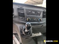 Ford Mod. FORD Vers. FORD | Leggero Cabinato <= 35 q.li Isotermico / coibentato | INDUSTRIAL CARS S.P.A