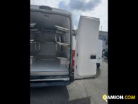 Iveco Mod. IVECO Vers. IVECO | Leggero Furgone <= 35 q.li Isotermico con gruppo frigo | INDUSTRIAL CARS S.P.A